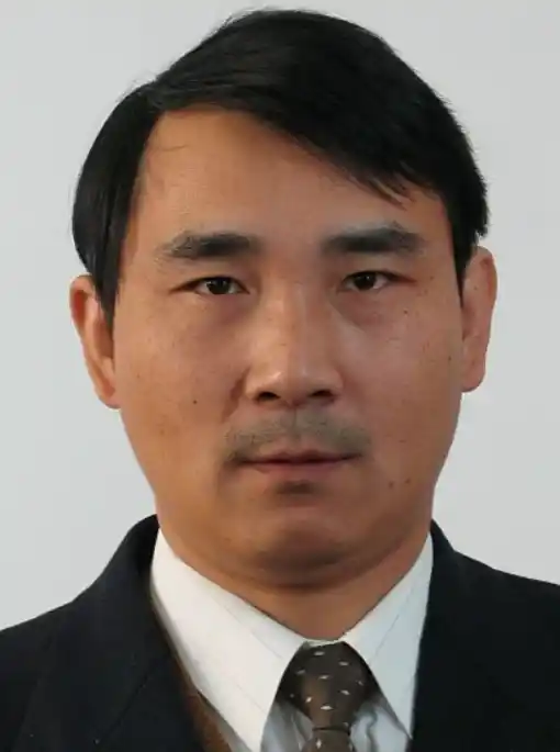 Wanqing Song